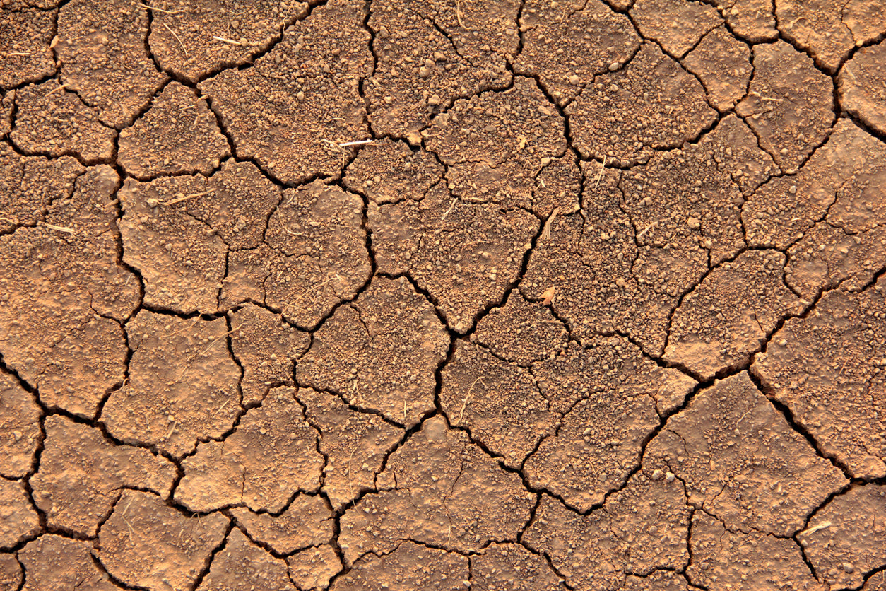 Cracked up desert soil